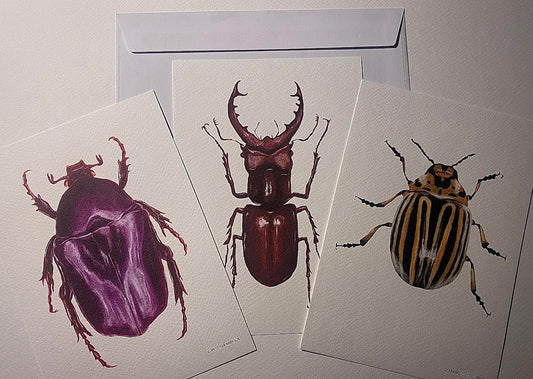 Cartes Postales Collection Scarabées I _ Pack 8