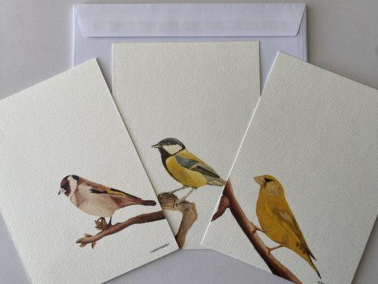 Cartes Postales Collection Oiseaux Jardin I _ Pack 8